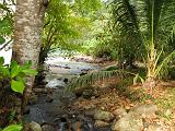 Isla del Coco - 165